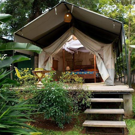 Bluemonkey Guesthouse Entebbe Exterior photo