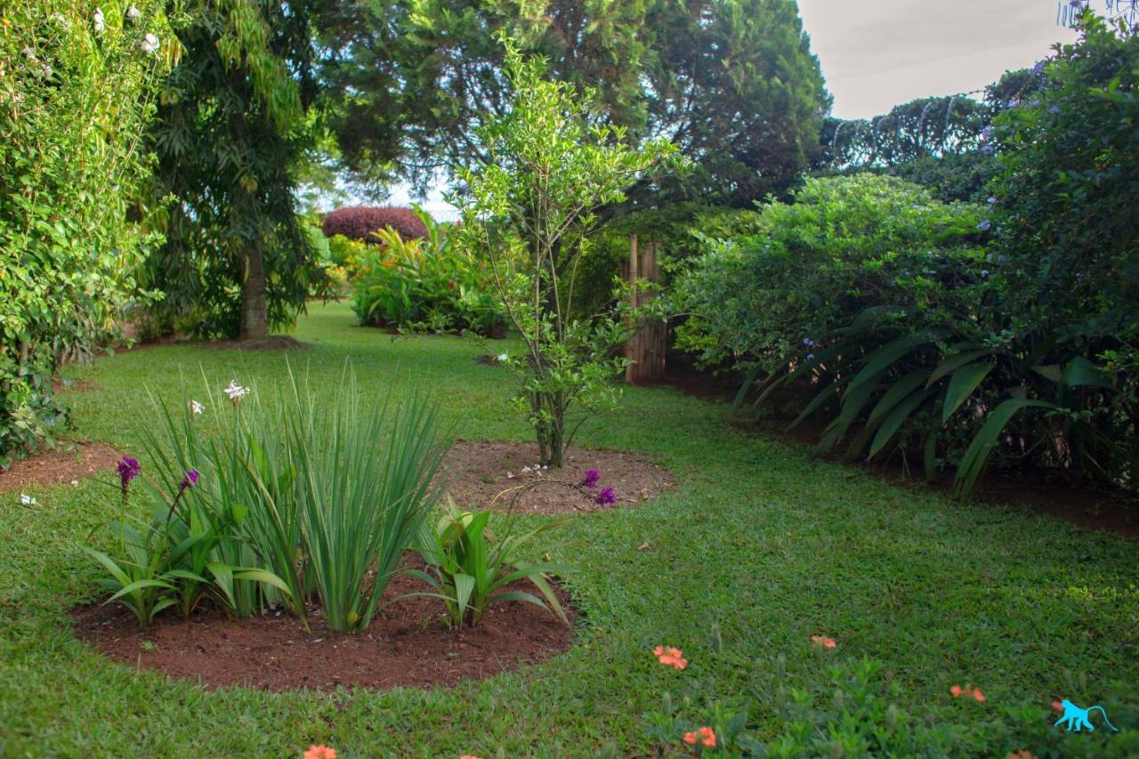Bluemonkey Guesthouse Entebbe Exterior photo